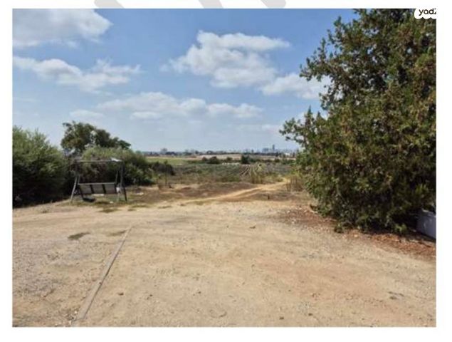 משק חקלאי/ נחלה, צופית