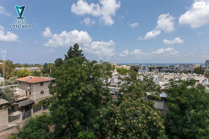 דירה, המושבה הגרמנית, חיפה