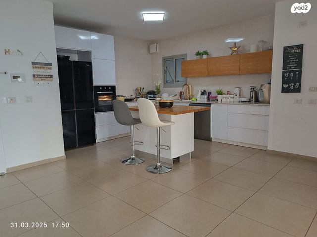 דירה, היסעור, החותרים, טירת כרמל