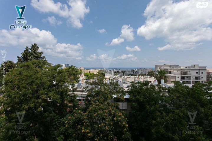 דירה, המושבה הגרמנית, חיפה