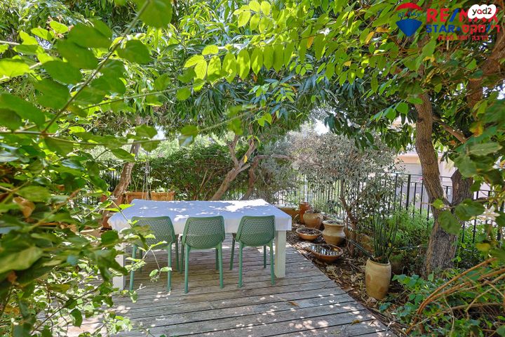 שמואל הנגיד 13