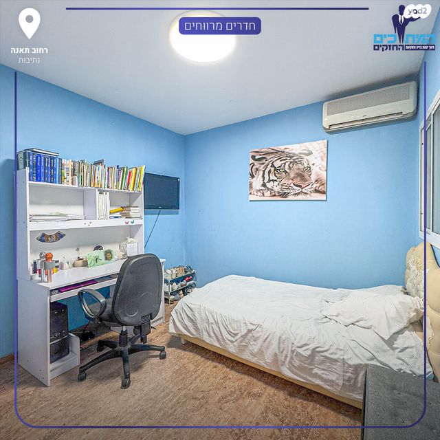 דירה, נתיבות