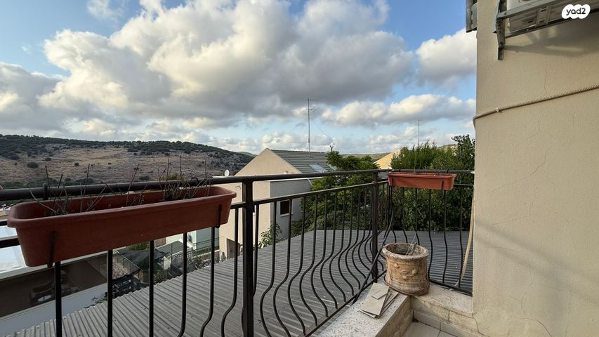 דו משפחתי, הצבעוני, הזיתים, מעלות תרשיחא