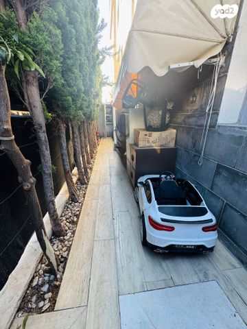 דירת גן, ישראל פולי פוליאקוב, קרית האמנים, מצליח, רמלה