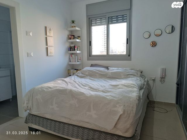 דירה, היסעור, החותרים, טירת כרמל