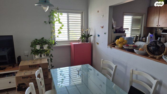 דירה, מרסל ינקו, תל אביב יפו