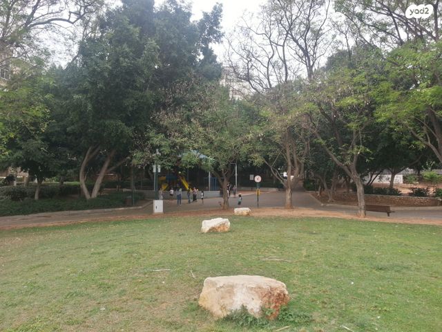 דירה, המייסדים, קרית ספיר, כפר סבא