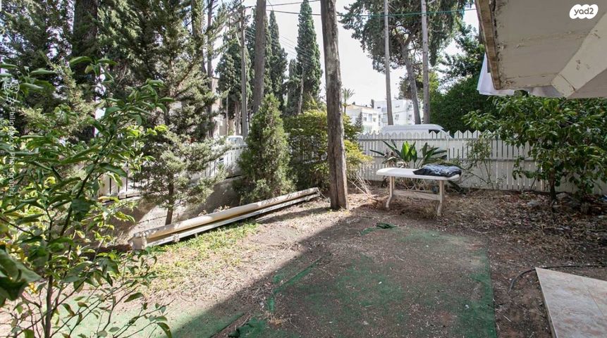 דירה, הגליל, נווה שאנן, חיפה