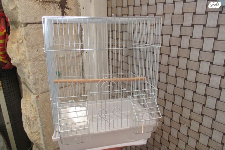 תמונת מודעה - חיות מחמד