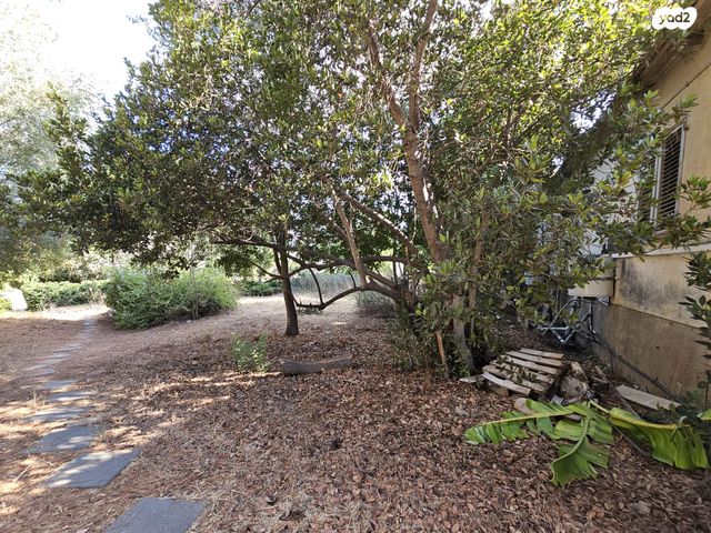 דירת גן, העליה 1, רמות מנשה, רמות מנשה