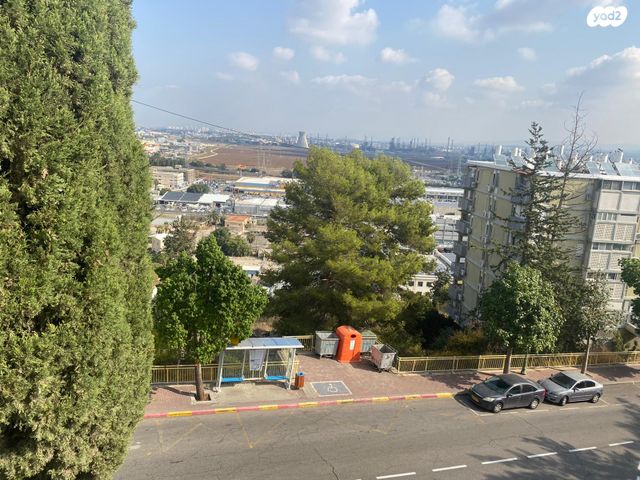 דירה, מעלה הגיבורים 25, בן דור, נשר