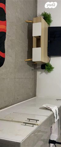 החשמונאים 8