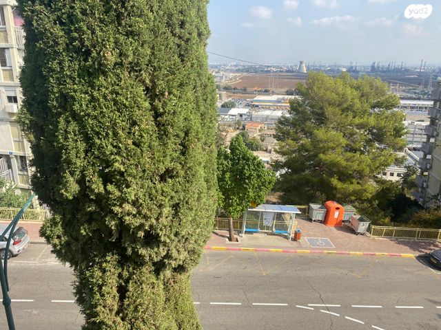 דירה, מעלה הגיבורים 25, בן דור, נשר