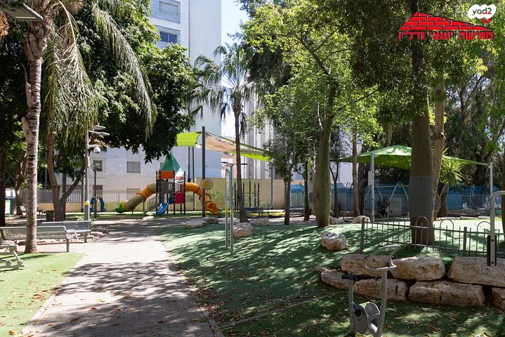 דירה, ברנדייס, רמב"ם, ראשון לציון