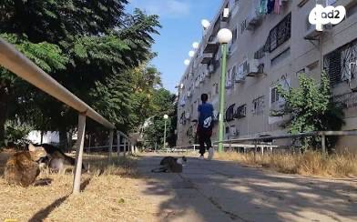 דירה, חיד"א, בן גוריון, אשקלון