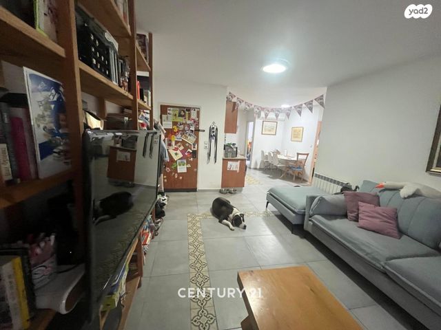 דירה, ארנונה, ירושלים