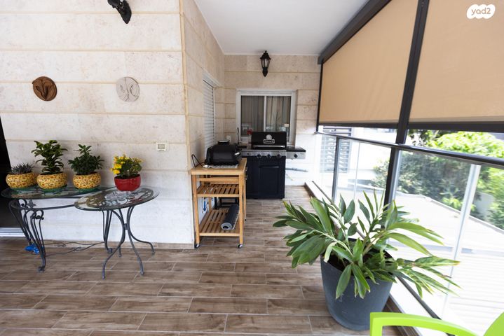 דירה, החרוב, טירת כרמל