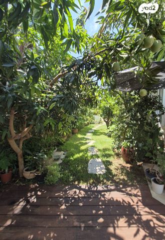 דו משפחתי, קיסריה