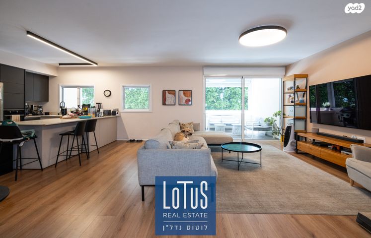 דשה אהרונסון 