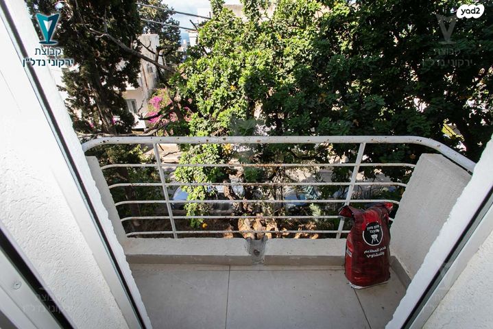 דירה, בר גיורא, הדר עליון, חיפה