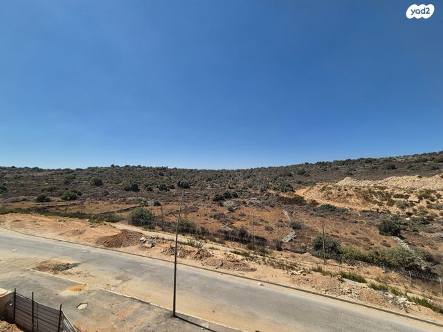 דירה, אלמוג, אריאל