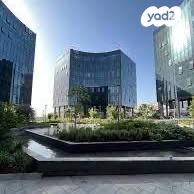 משרדים, פרופ' אברהם פצ'ורניק, שאר העיר, נס ציונה