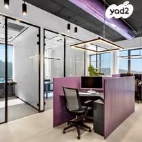 משרדים, פרופ' אברהם פצ'ורניק, שאר העיר, נס ציונה