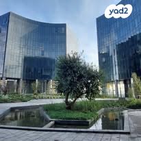 פרופ' אברהם פצ'ורניק 