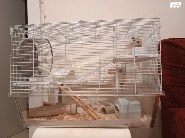 אביזרים | כלוב