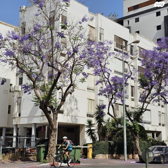 טרומפלדור 58