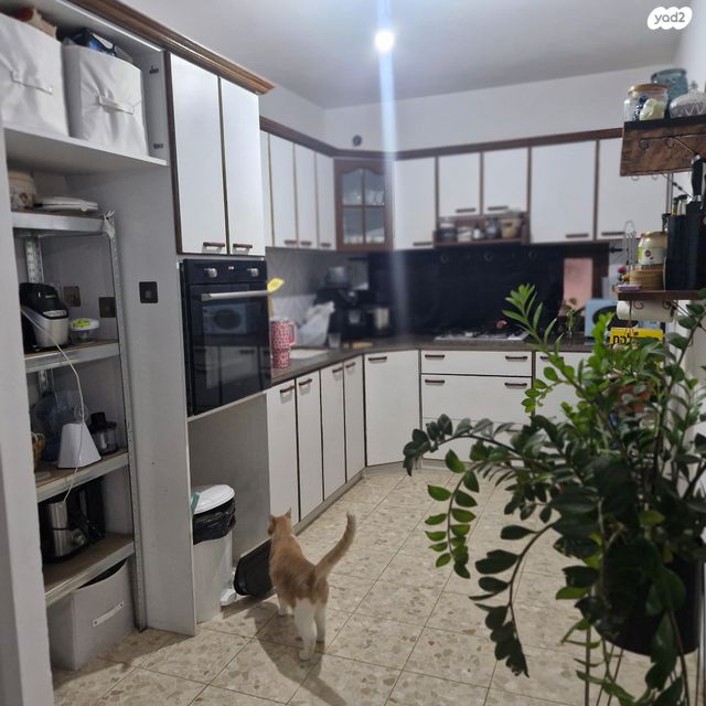 ירושלים 51