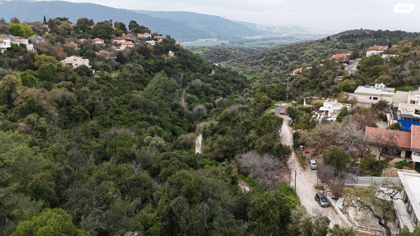 מגרשים, טבעון הוותיקה, קרית טבעון
