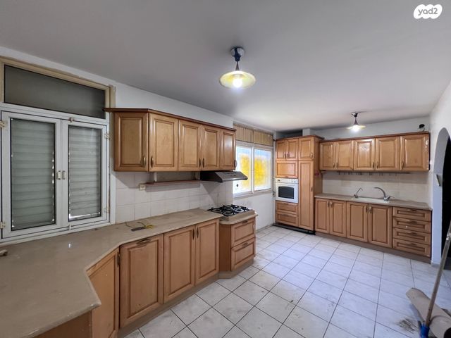 אפרים צור 13