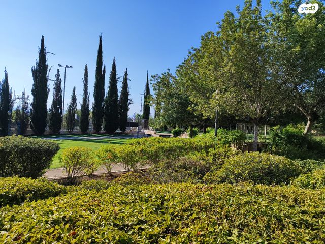 חלומות זכרון