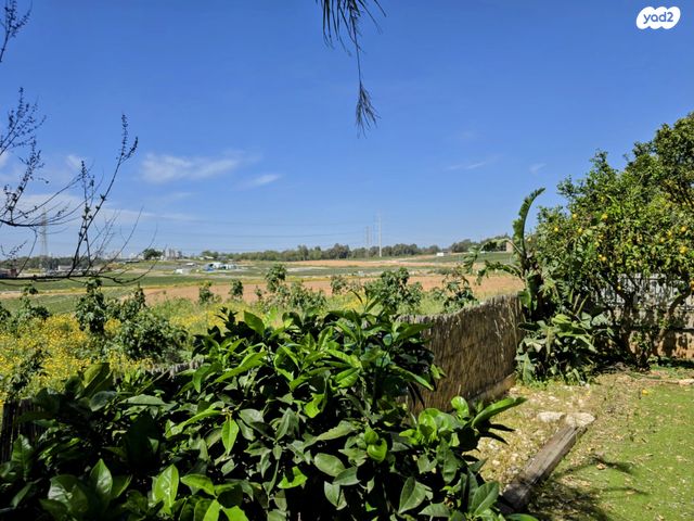 דו משפחתי, קדימה צורן