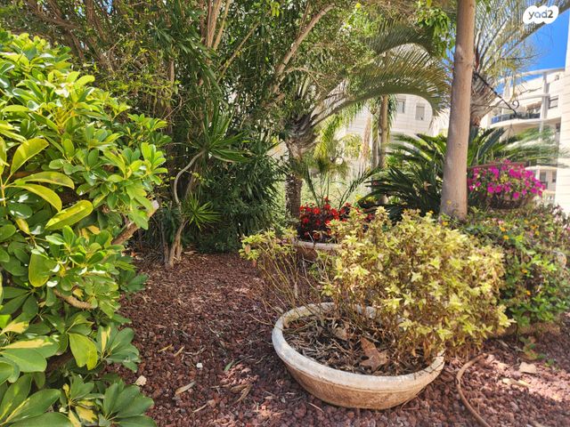 דירה, רביבים, תל אביב יפו