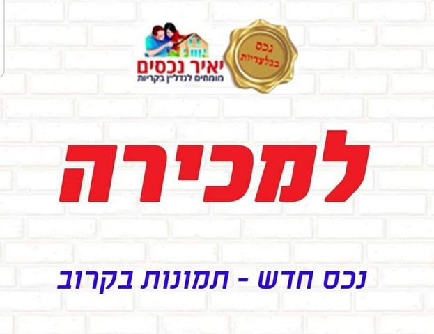 אגוזים 