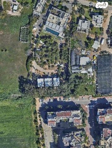 כפר סבא הצעירה