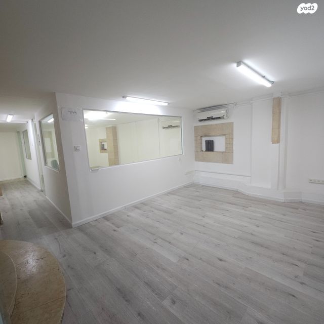 נפתלי פלטין 