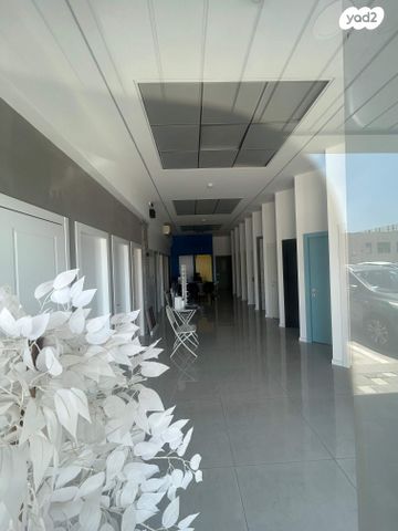 משרדים, כרמל, שילת