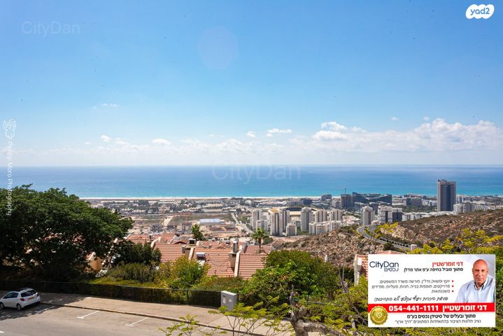 ראול ולנברג 