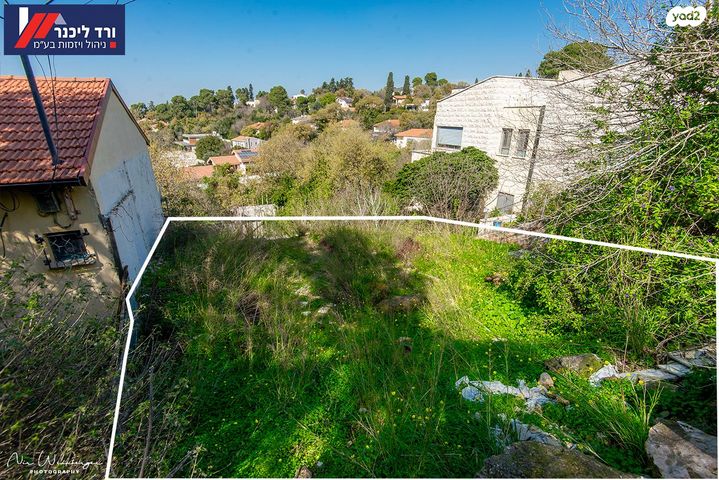 טבעון הוותיקה