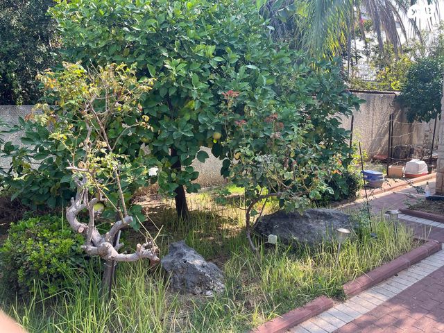 בית פרטי/ קוטג', קיסריה