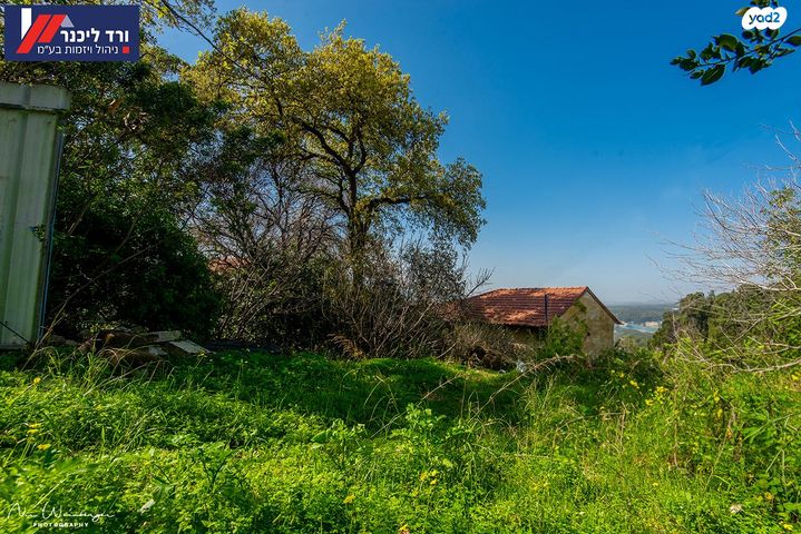 מגרשים, טבעון הוותיקה, קרית טבעון