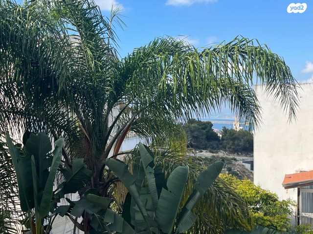 דירה, סחלב, חיפה