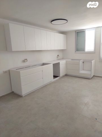 אריה מוצקין 