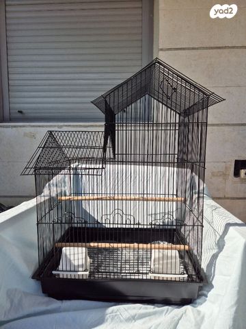 תמונת מודעה - חיות מחמד