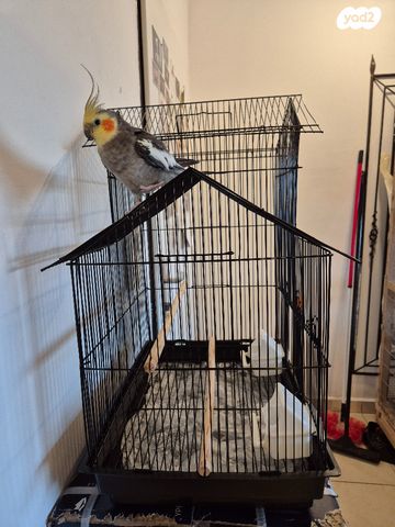 אביזרים | כלוב