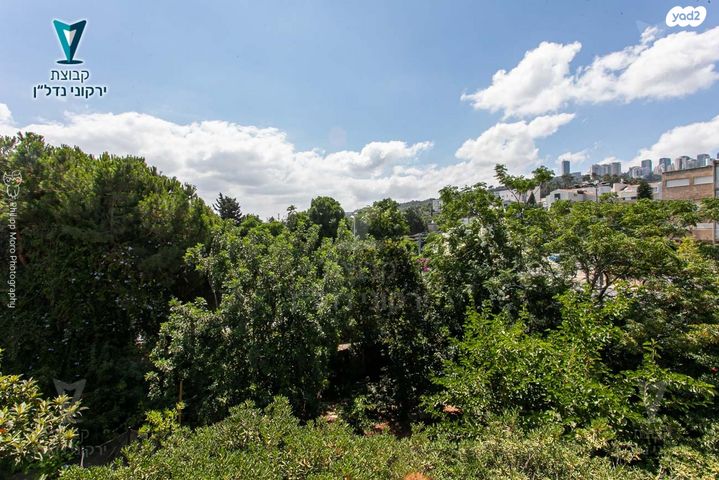 דירה, זיו, חיפה