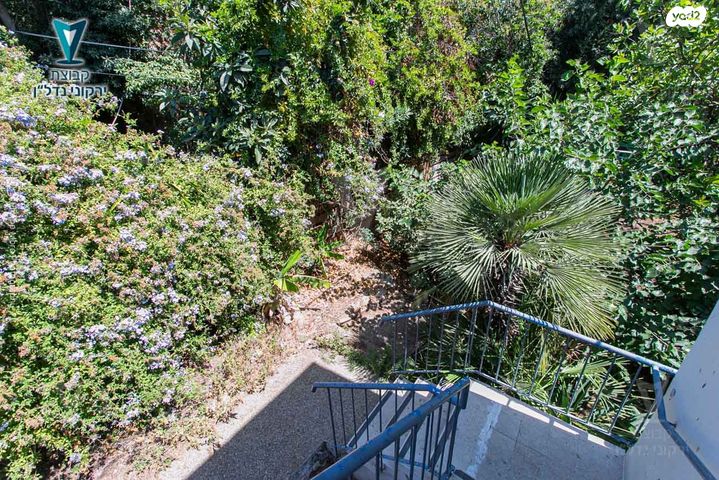 דירה, זיו, חיפה